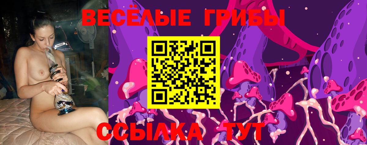 Галлюциногенные грибы Psilocybe Кушва